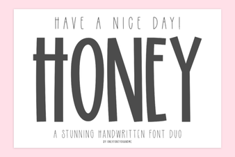 Beautiful Fonts for a 'have a Nice Day Honey' Project