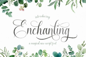 Elegant Script Fonts for Design Projects